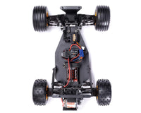 Losi JRXT 1/16 Brushed 2WD Limited Edition RTR Racing Monster Truck