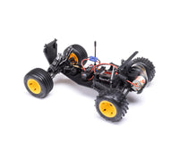 Losi JRXT 1/16 Brushed 2WD Limited Edition RTR Racing Monster Truck