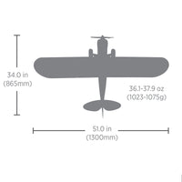 HobbyZone Carbon Cub S 2 1.3m Cleetus McFarland Special Edition RTF Basic